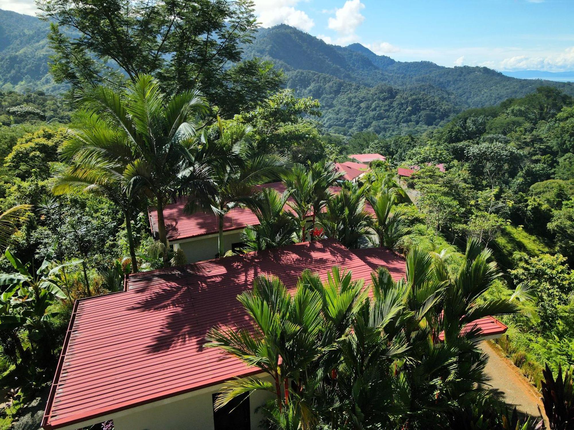 Nature'S Edge Boutique Hotel Uvita Eksteriør billede