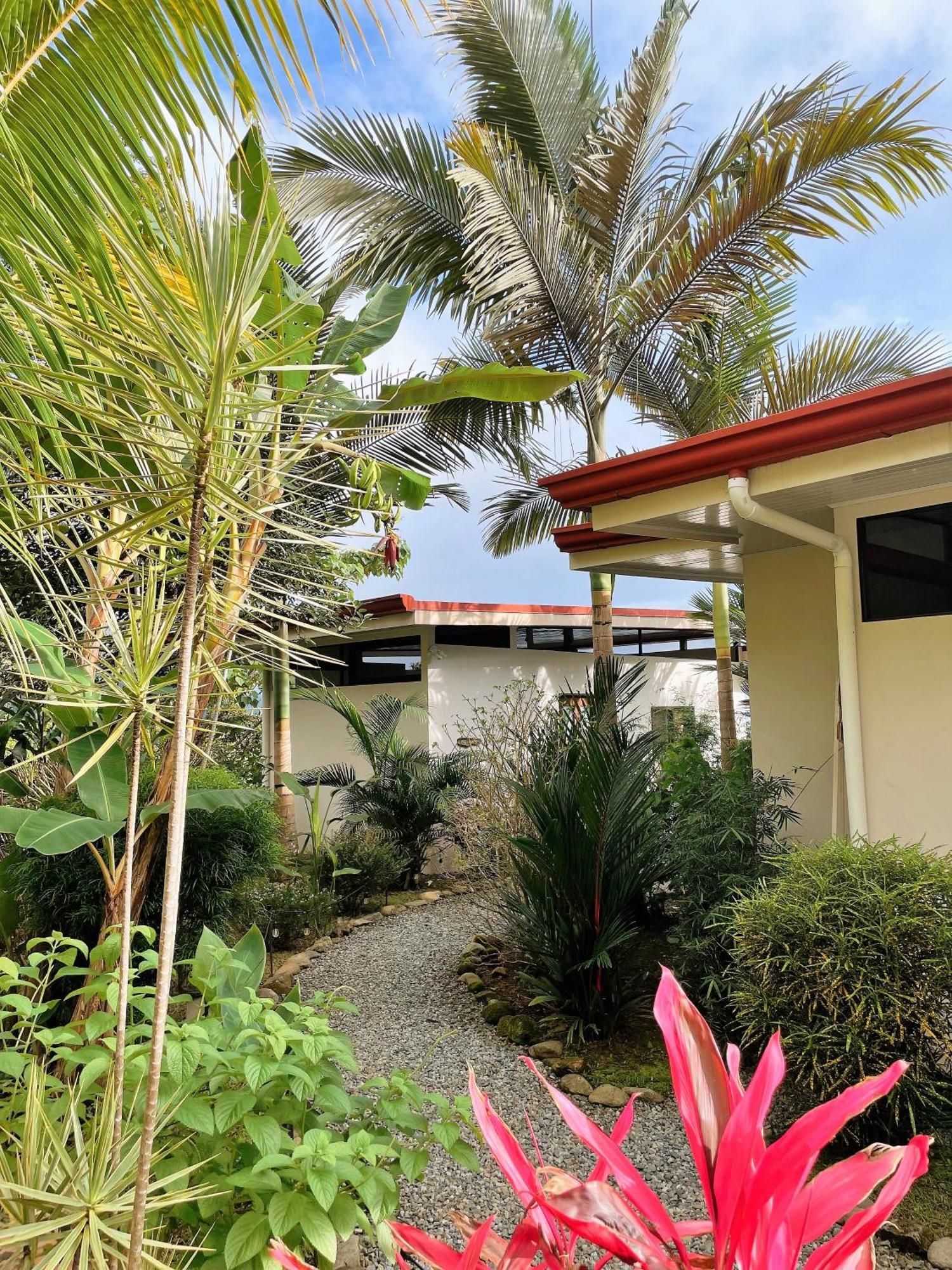 Nature'S Edge Boutique Hotel Uvita Værelse billede